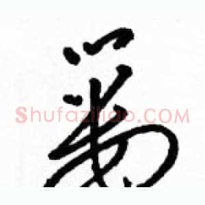 篓