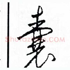 囊