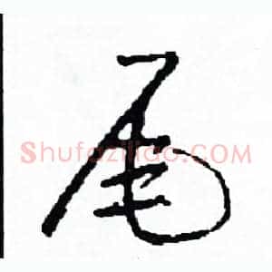 尾