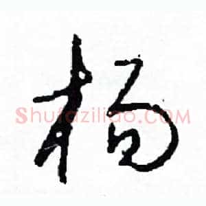 楊