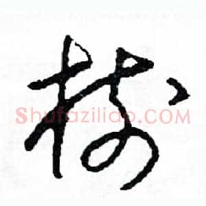 樹