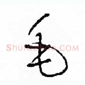 毛
