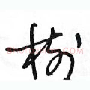 樹