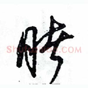 睹