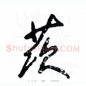茨