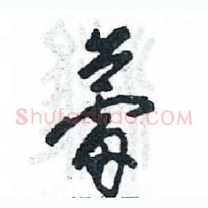 蕾