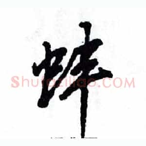 蚌