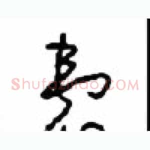 囊