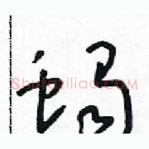蝎