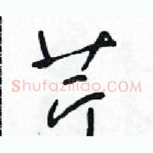 芹