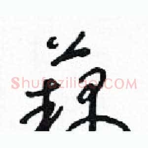 藕