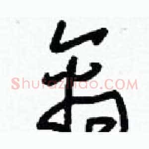 禽
