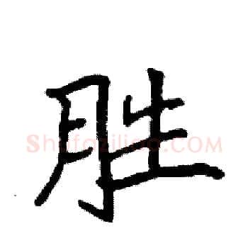 胜硬笔楷书写法,摘自袁强硬笔书法字帖