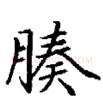 腠硬笔楷书写法,摘自丁谦硬笔书法字帖