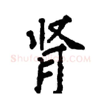 肾硬笔楷书写法,摘自张恒成硬笔书法字帖