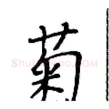 菊硬笔楷书写法,摘自黄华生硬笔书法字帖