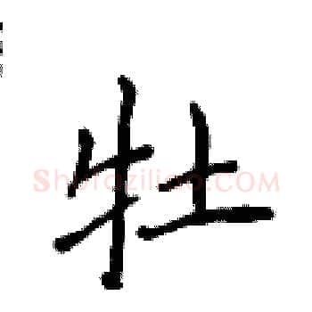 牡硬笔楷书写法,摘自侯登峰硬笔书法字帖