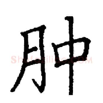 肿硬笔楷书写法,摘自阎锐敏硬笔书法字帖