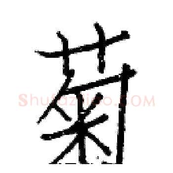 菊硬笔楷书写法,摘自白克俭硬笔书法字帖