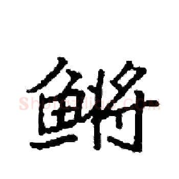 鳉硬笔楷书写法,摘自袁强硬笔书法字帖