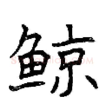 鲸硬笔楷书写法,摘自曾庆福硬笔书法字帖