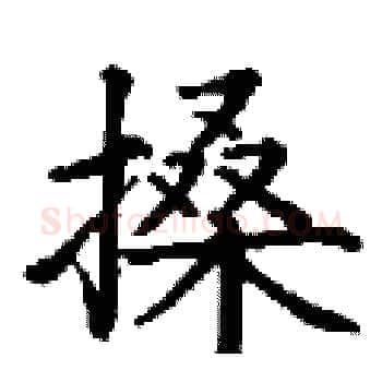 搡硬笔楷书写法,摘自丁谦硬笔书法字帖