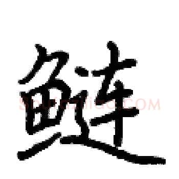 鲢硬笔楷书写法,摘自荆霄鹏硬笔书法字帖
