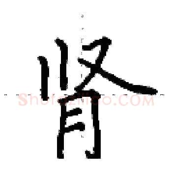 肾硬笔楷书写法,摘自田英章硬笔书法字帖