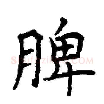 脾硬笔楷书写法,摘自曾庆福硬笔书法字帖