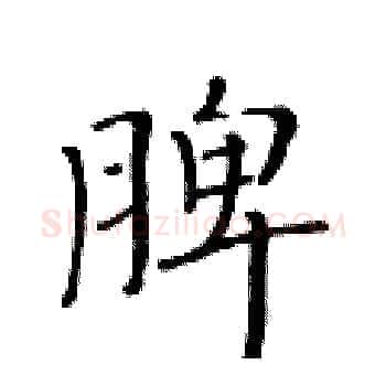 脾硬笔楷书写法,摘自黄华生硬笔书法字帖