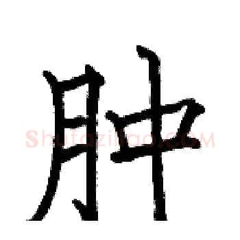 肿硬笔楷书写法,摘自骆恒光硬笔书法字帖