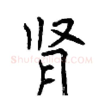 肾硬笔楷书写法,摘自曾庆福硬笔书法字帖