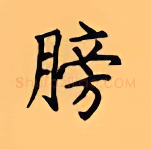 膀硬笔楷书写法,摘自顾仲安硬笔书法字帖