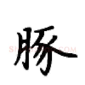 豚硬笔楷书写法,摘自卢中南硬笔书法字帖