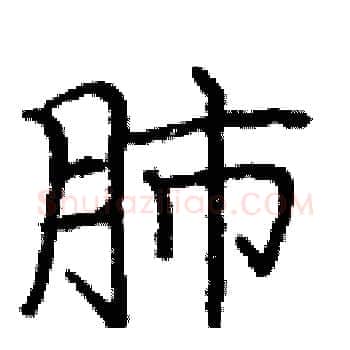 肺硬笔楷书写法,摘自庞中华硬笔书法字帖