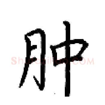 肿硬笔楷书写法,摘自荆霄鹏硬笔书法字帖