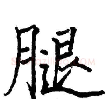 腿硬笔楷书写法,摘自骆恒光硬笔书法字帖