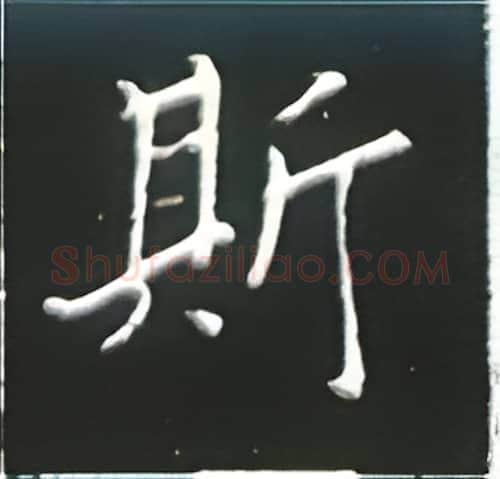 斯硬笔楷书写法,摘自王正良硬笔书法字帖