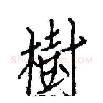 樹硬笔楷书写法,摘自白克俭硬笔书法字帖