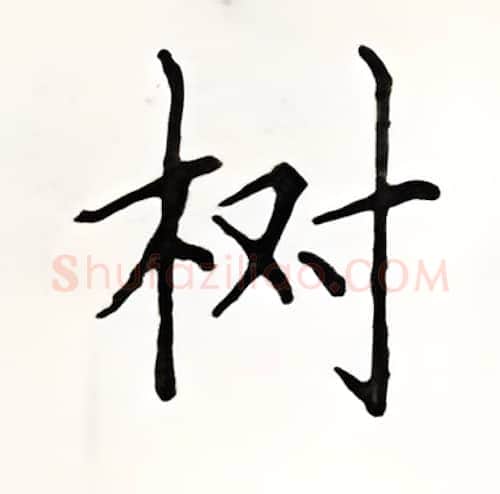 树硬笔楷书写法,摘自顾仲安硬笔书法字帖