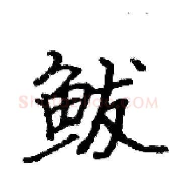 鲅硬笔楷书写法,摘自骆恒光硬笔书法字帖