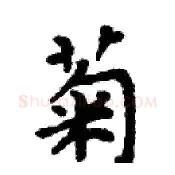 菊硬笔楷书写法,摘自周炳元硬笔书法字帖