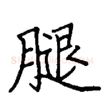腿硬笔楷书写法,摘自阎锐敏硬笔书法字帖