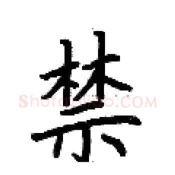 禁硬笔楷书写法,摘自荆霄鹏硬笔书法字帖