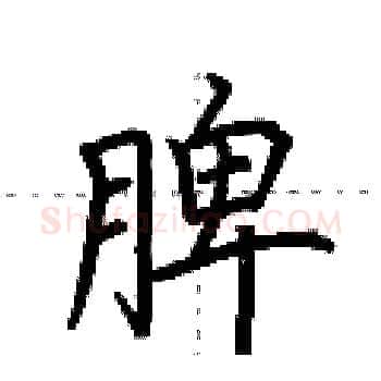 脾硬笔楷书写法,摘自荆霄鹏硬笔书法字帖
