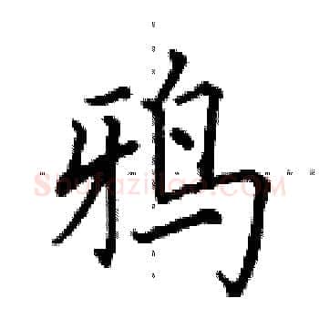 鸦硬笔楷书写法,摘自田英章硬笔书法字帖