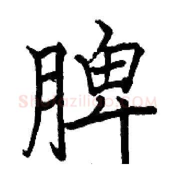 脾硬笔楷书写法,摘自骆恒光硬笔书法字帖