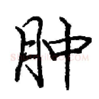肿硬笔楷书写法,摘自庞中华硬笔书法字帖