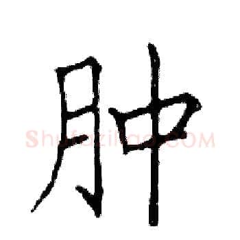 肿硬笔楷书写法,摘自邓散木硬笔书法字帖