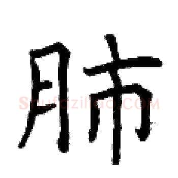 肺硬笔楷书写法,摘自曾庆福硬笔书法字帖